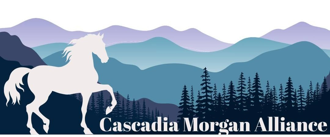 Cascadia Morgan Horse Alliance